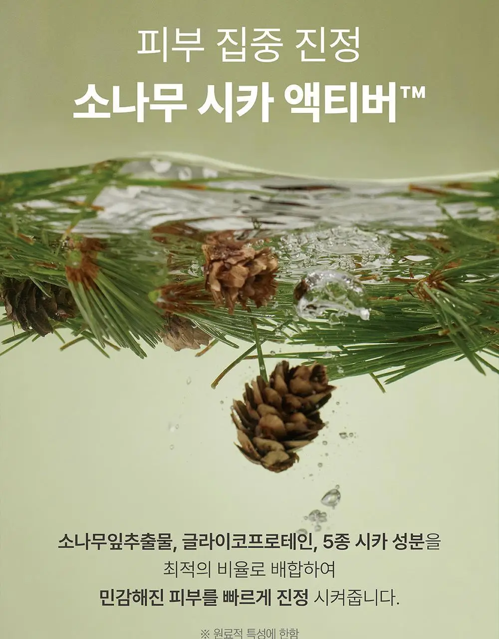 [9,900원 특가] 라운드랩 동백/소나무 팩 클렌저 150ml 기획 (+클렌징해면퍼프) 상세페이지 19